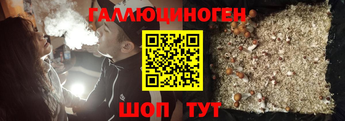 Псилоцибиновые грибы Magic Shrooms Липецк