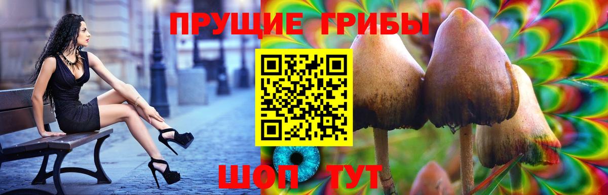 Галлюциногенные грибы Cubensis  Галлюциногенные грибы Psilocybine cubensis  Вход с VPN  Липецк 